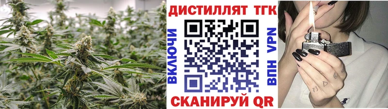 mega вход  Таганрог  ТГК концентрат 